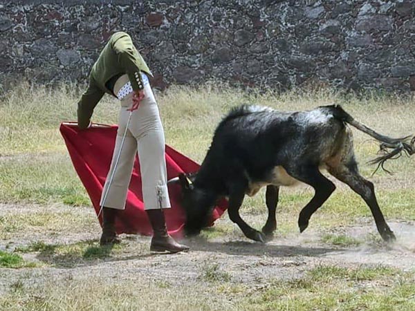 Sentimiento torero