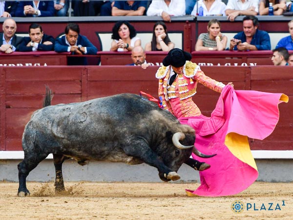 Leo, jugando los brazos