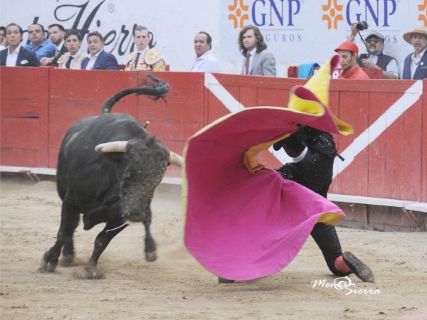 El Pantera, valor y voluntad