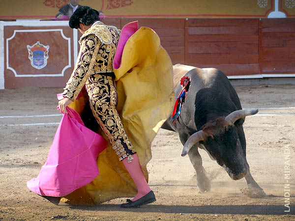 Llevndolo al caballo