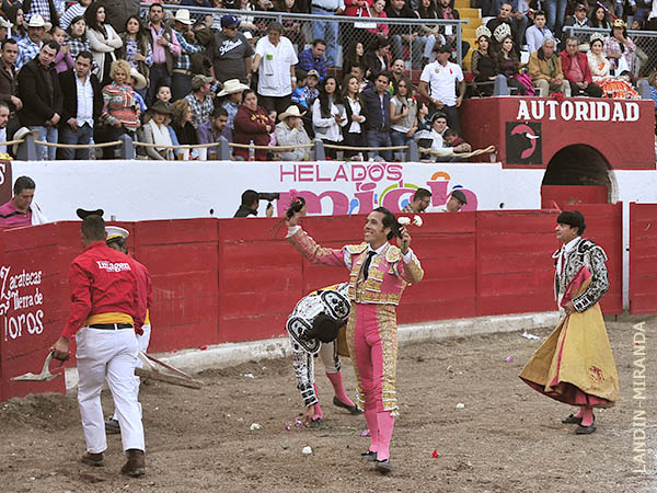 Recogiendo las palmas y el cario