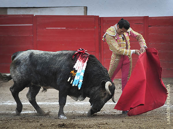 El toreo clsico