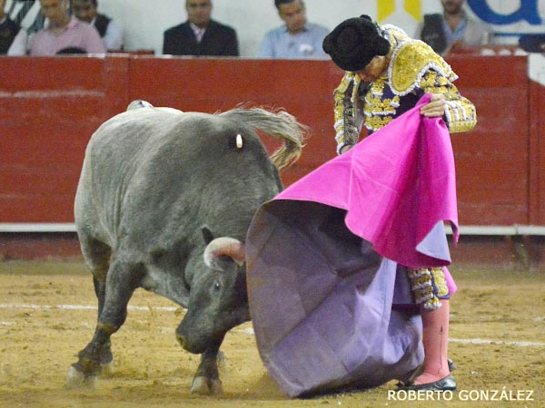 La barbilla encajada