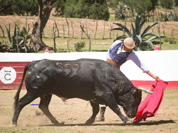 Calidad en la embestida