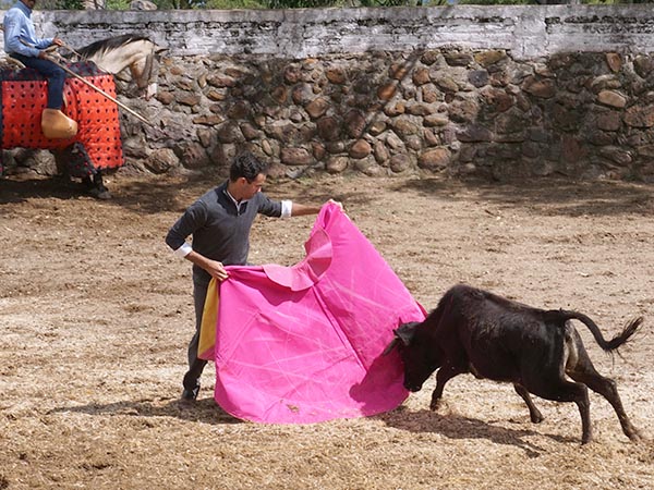 Colocada al caballo