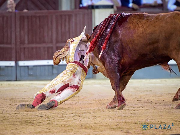 Prendido de la chaquetilla