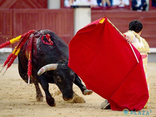 Pase por la espalda