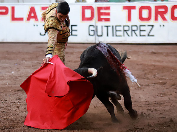 Resolviendo el crucigrama