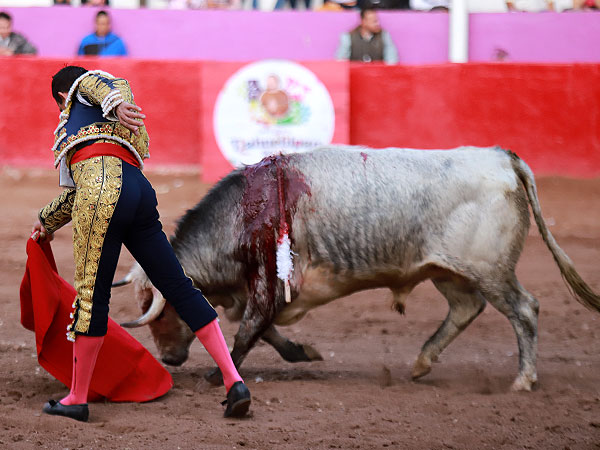 Toreando el de pecho