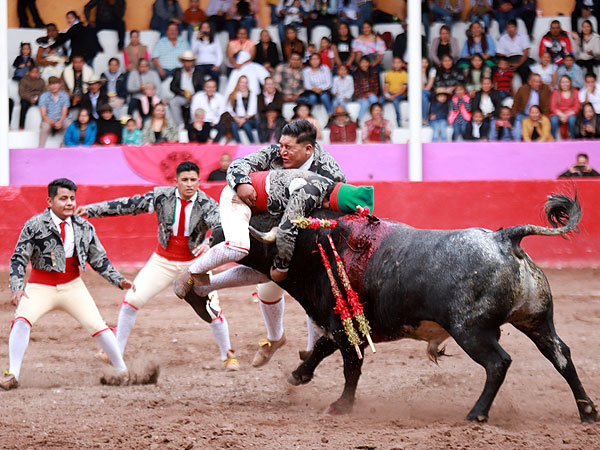 Forcados Amadores de Hidalgo