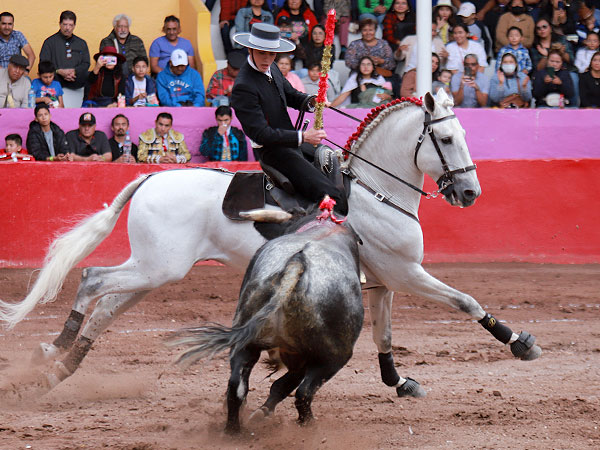 Caballero en Plaza