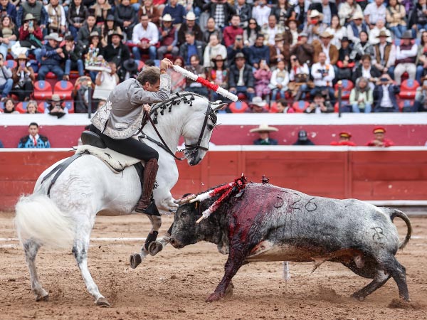 Variado y valiente