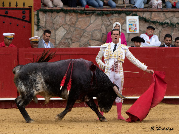 Mirando al tendido