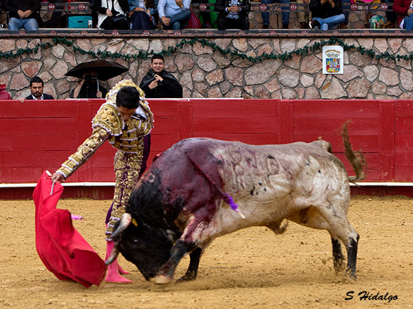 Corriendo la mano