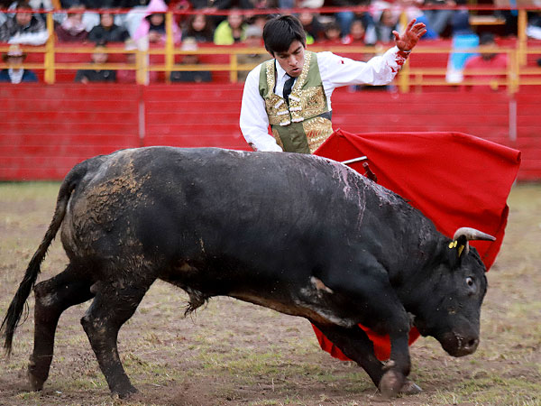 Adornos finales