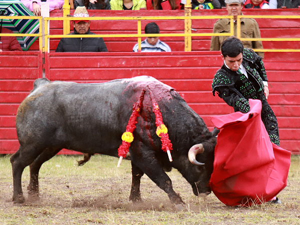 Sebastin Palomo Macas