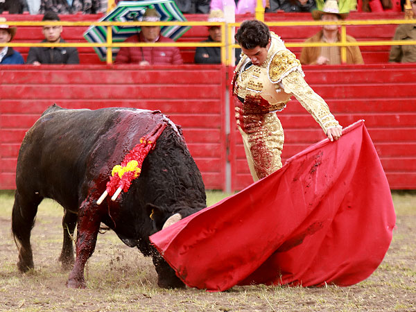 Embrujado en el vuelo