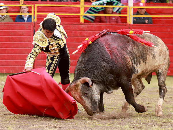 Calidad en la embestida