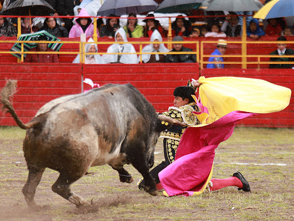 Alejandro Lima 