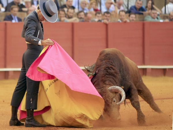 Un colorado para Pablo Aguado