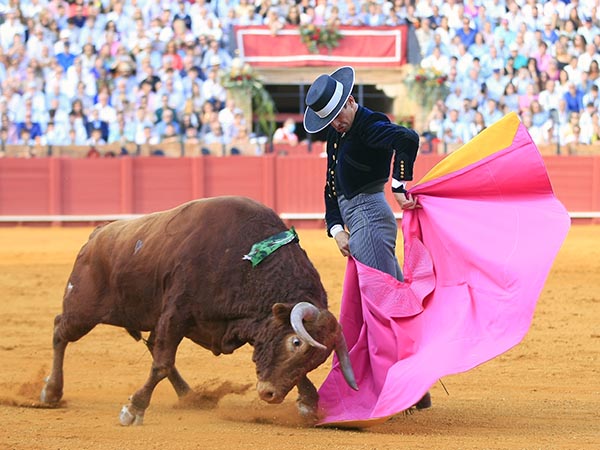 La media de Manzanares