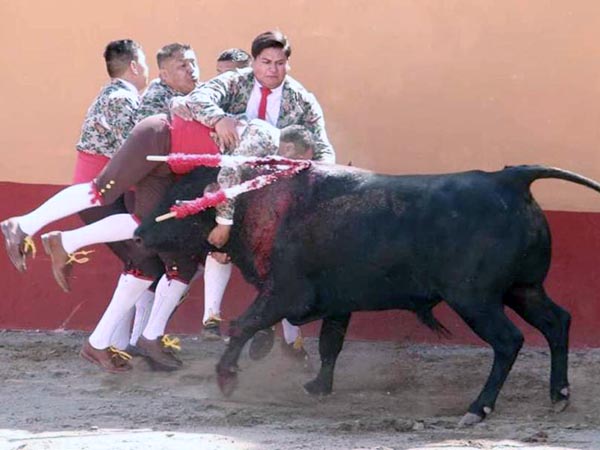 Cerrado en los adentros