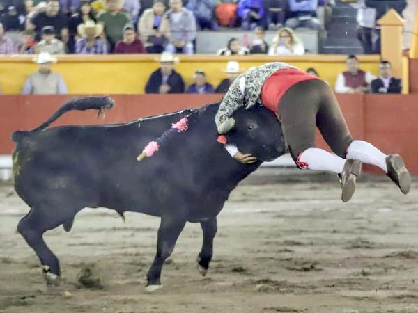 Tomado del cuello del negro