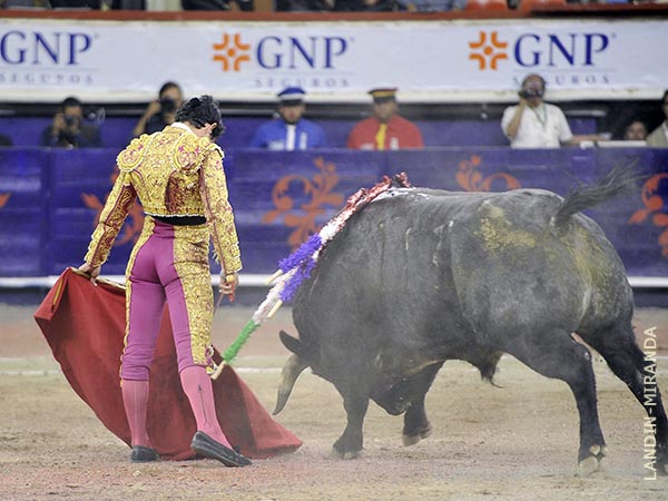 Reposo torero