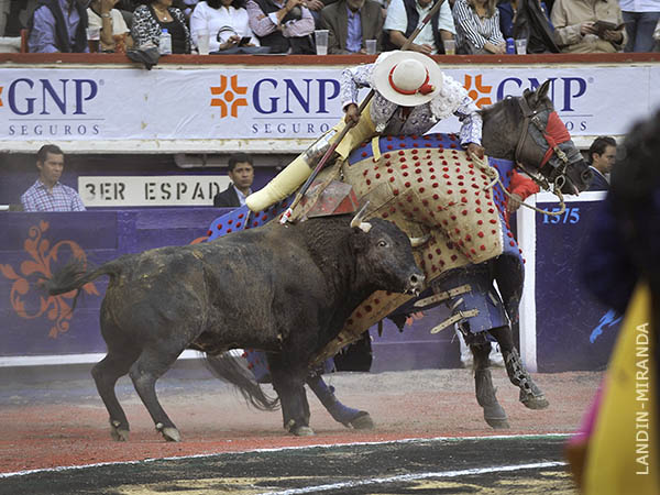 La pelea en el peto