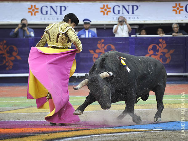 Castella abri el festejo