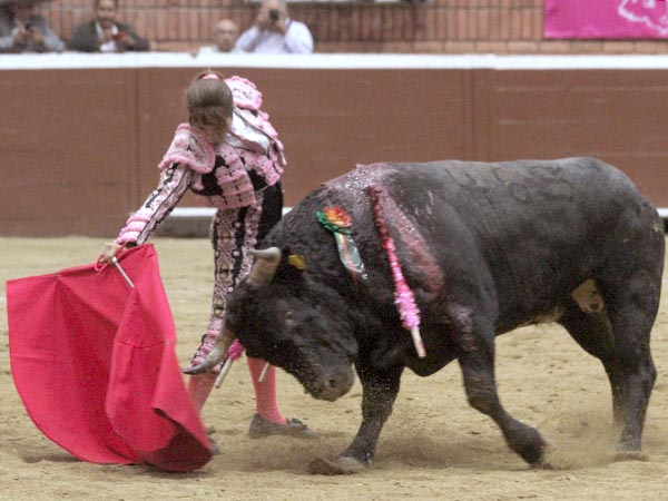 Cario contundente en Morelia