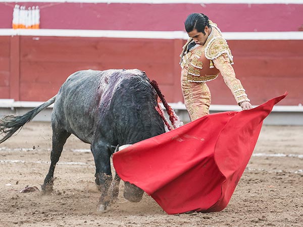 Tirando del crdeno