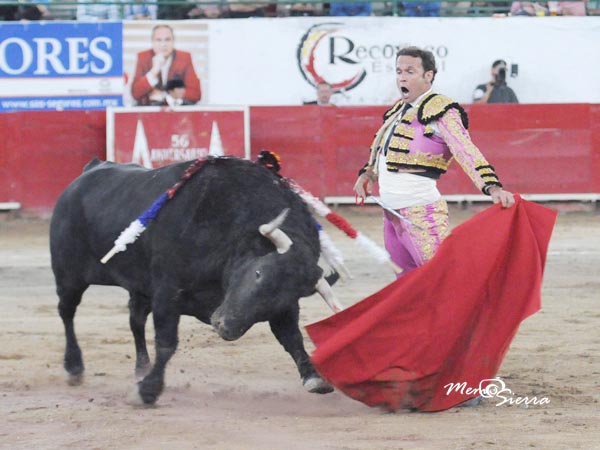 El toro le gust a Ferrera