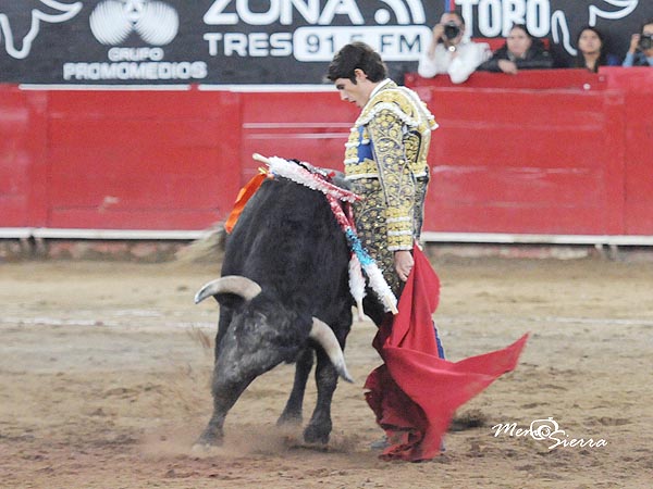 Le pis los terrenos al crdeno