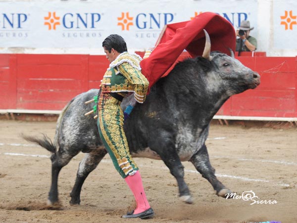 Emocionantes manoletinas