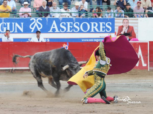 Donde el toro pesa ms