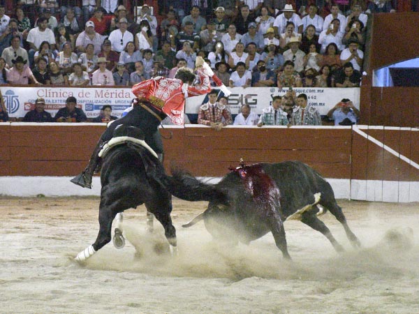 Metiendo la cara abajo