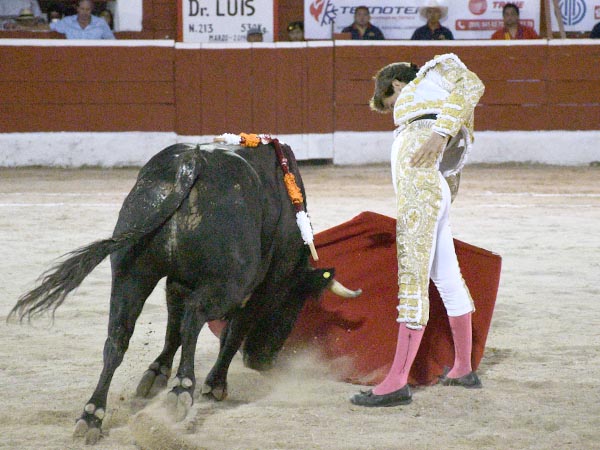 Faena en los medios