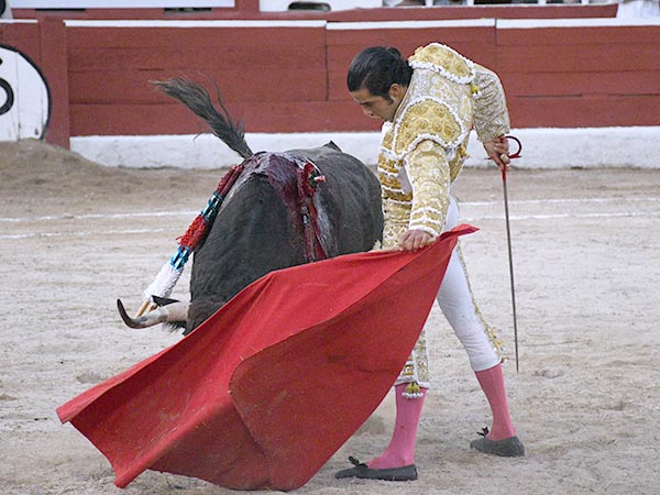 Tirando del crdeno