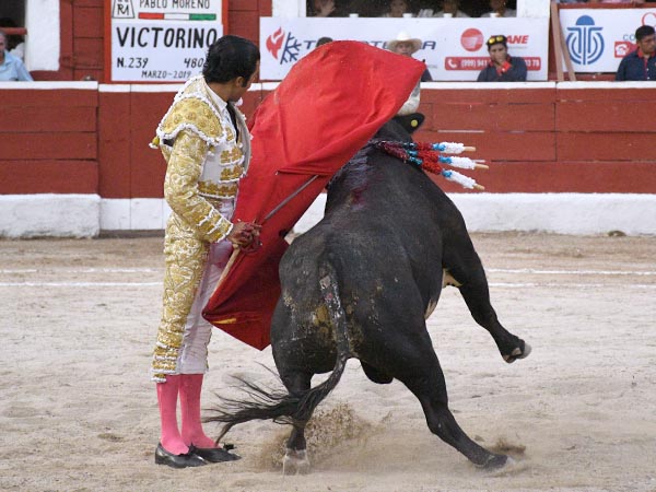 Barriendo los lomos