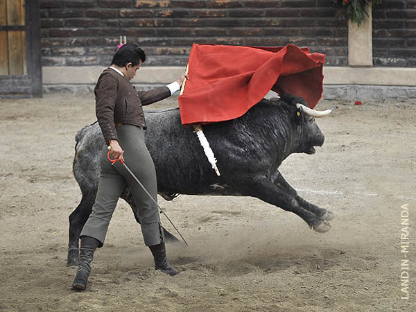 Abrochando la faena