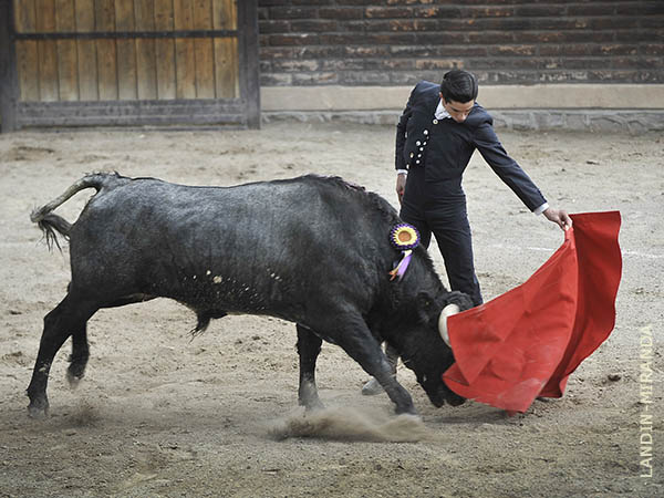 La izquierda de los Espinosa