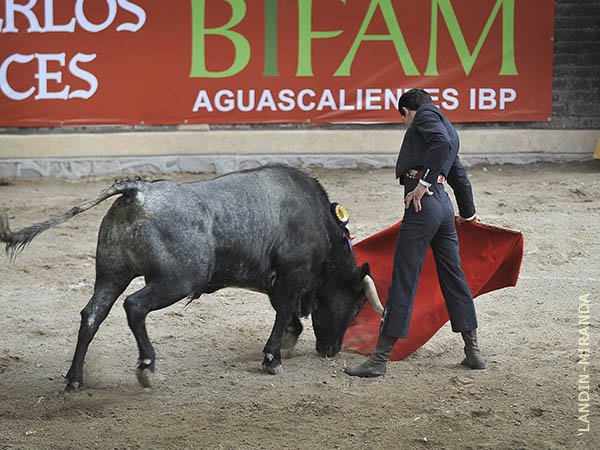 Acompasadas tandas