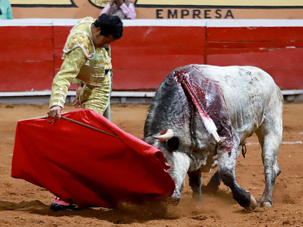 Tauromaquia depurada