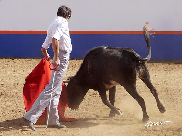 Izquierda de terciopelo