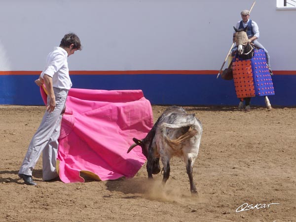 Colocando la erala al caballo