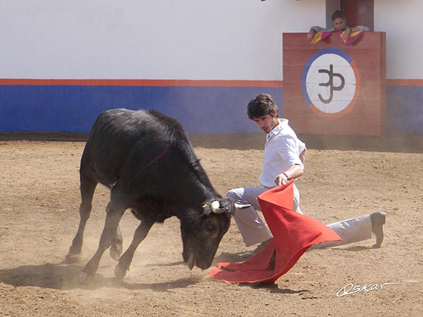 Rodilla en tierra