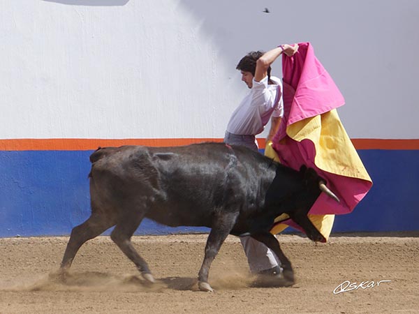 Evocando al poeta