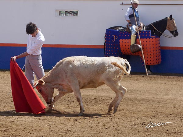 Templando a la jabonera