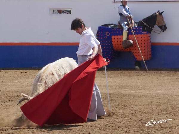 Metiendo la cara abajo